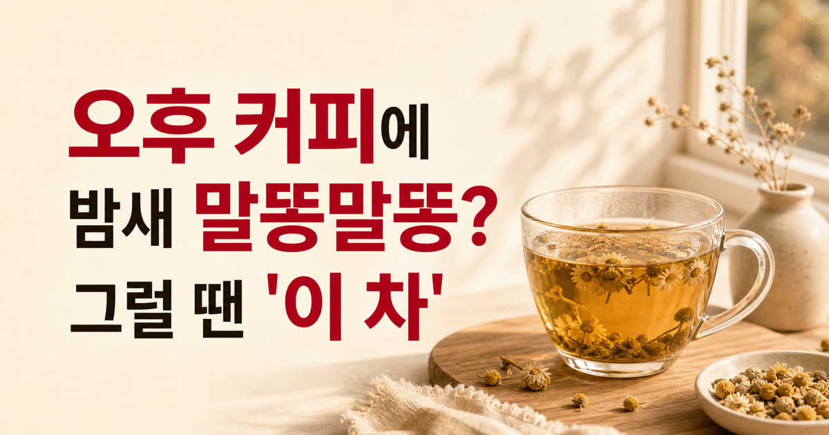 오후 커피에 밤잠 설친다면, 마시기 좋은 차 3가지