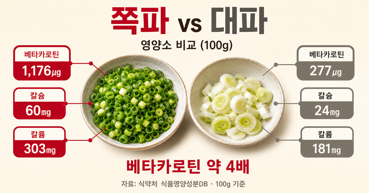 쪽파 vs 대파 영양