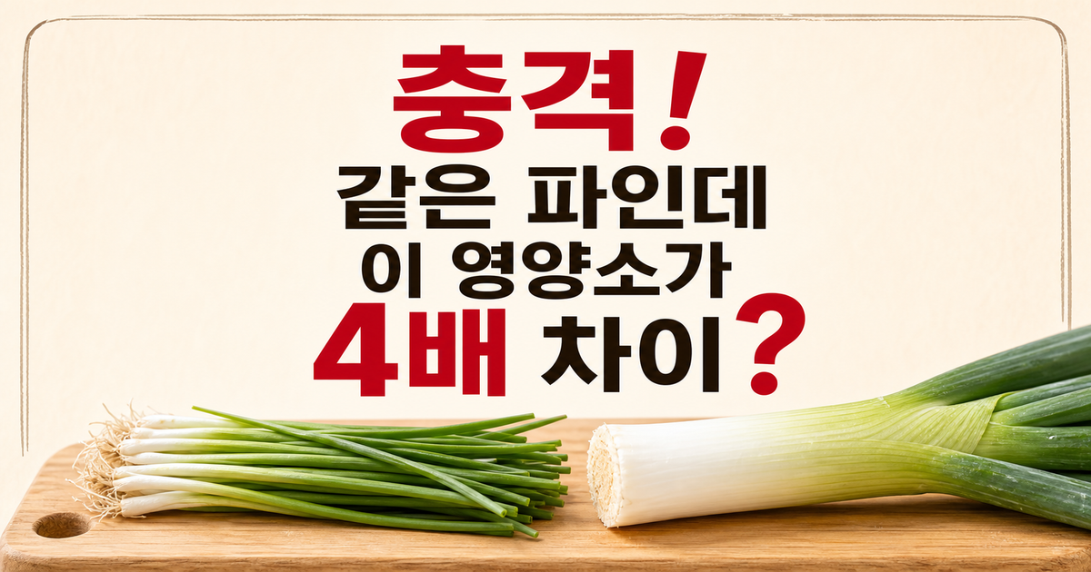대파 vs 쪽파, 쪽파에 더 많은 영양소 4가지